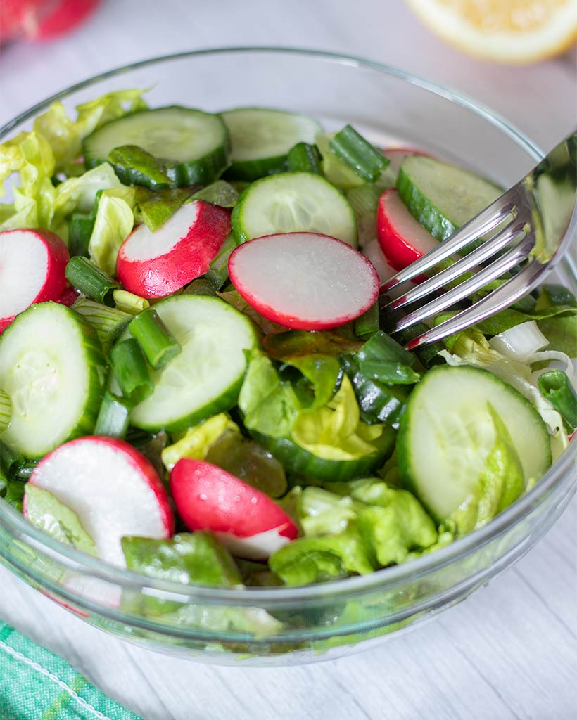 Butter lettuce salad recipe with vinaigrette and radishes, cucumber, spring onions