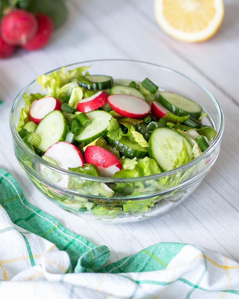 Healthy mix of butter lettuce, radishes, cucumber and green onions as side dish for lunch or dinner