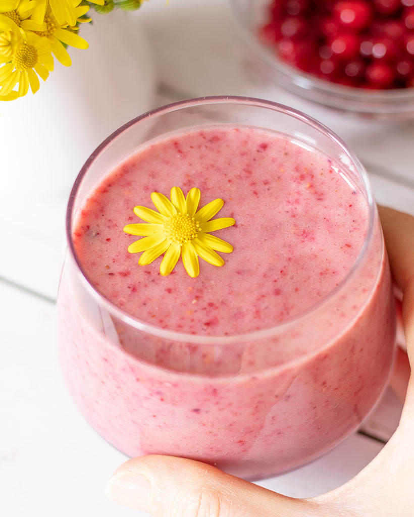 Best creamy healing cranberry smoothie recipe for breakfast or healthy snack.