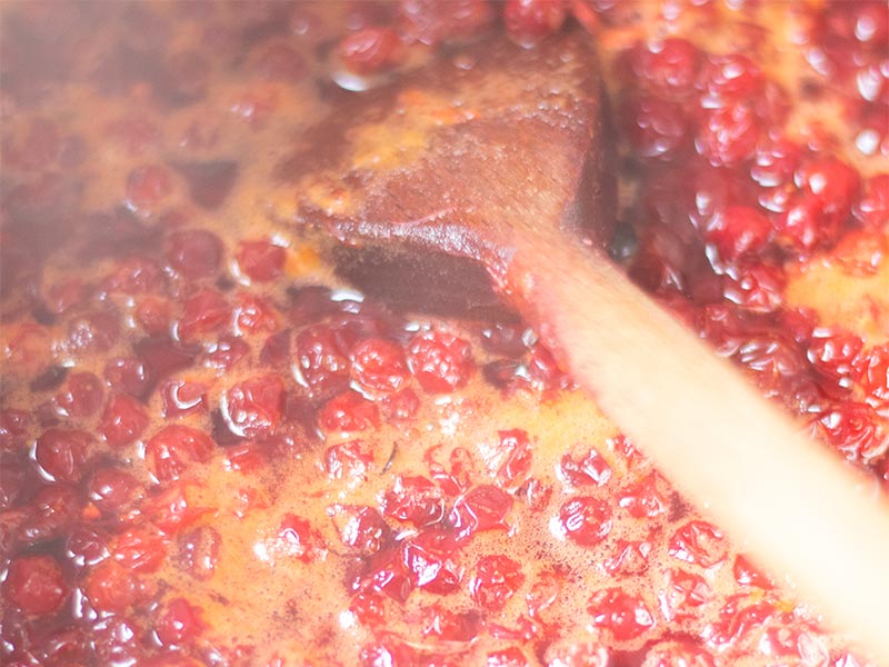 Simple cranberry sauce recipe for beginners, vegan-friendly food.