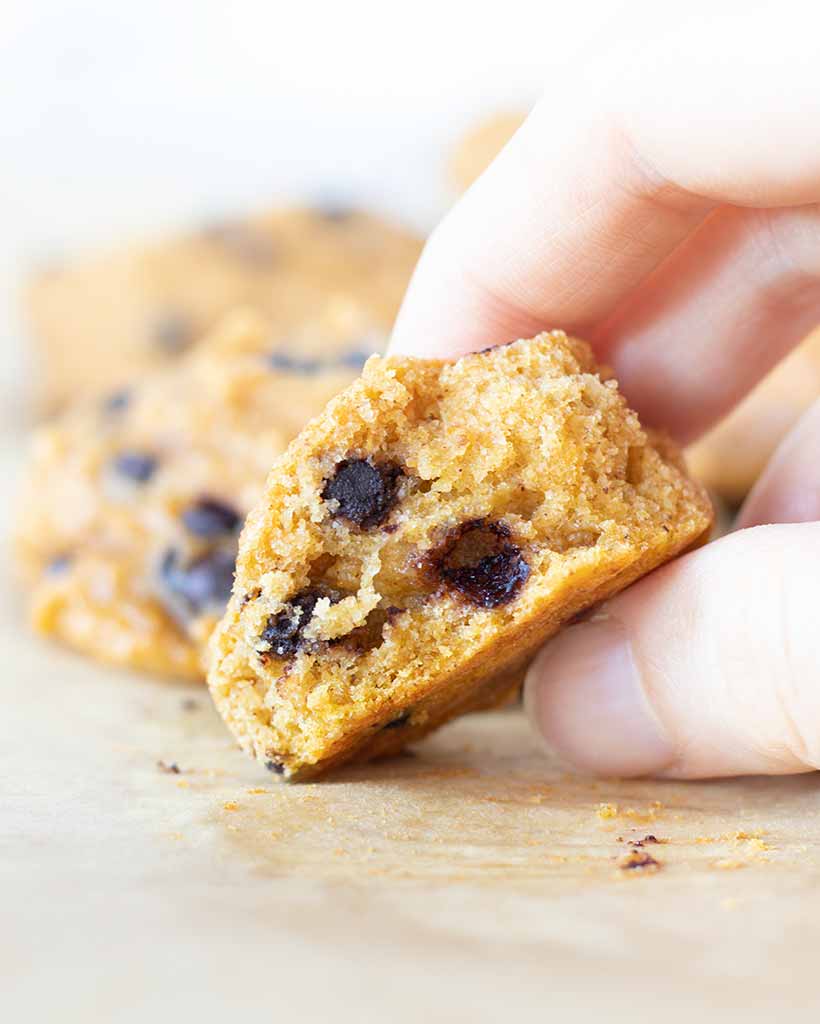 A fluffy pumpkin cookie loaded with vegan chocolate chips in woman's fingers.