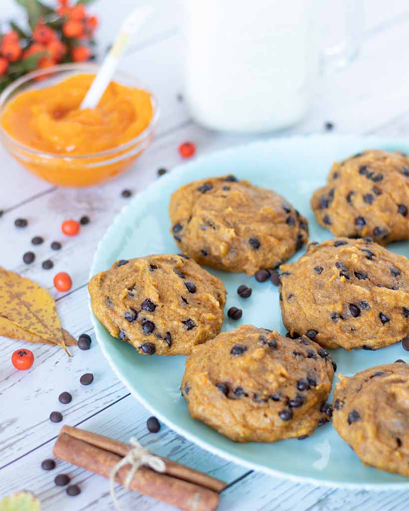 Quick and easy vegan pumpkin cookies with melty chocolate chips in a plate with pumpkin puree, dairy-free milk and cinnamon.