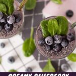 Creamy and nourishing vegan blend with blueberries, spinach, banana, seeds and dairy-free milk.