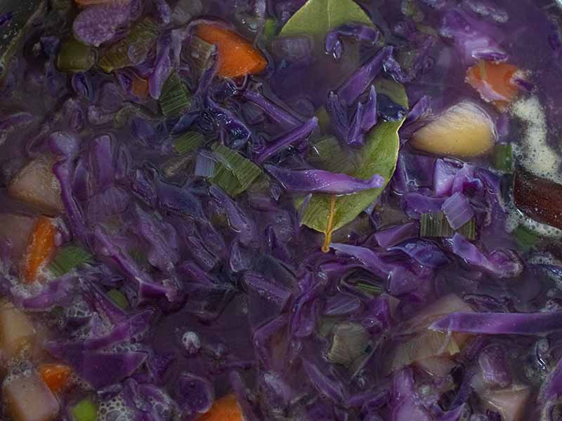 Cooking quick and easy detox red cabbage soup for weight-loss.