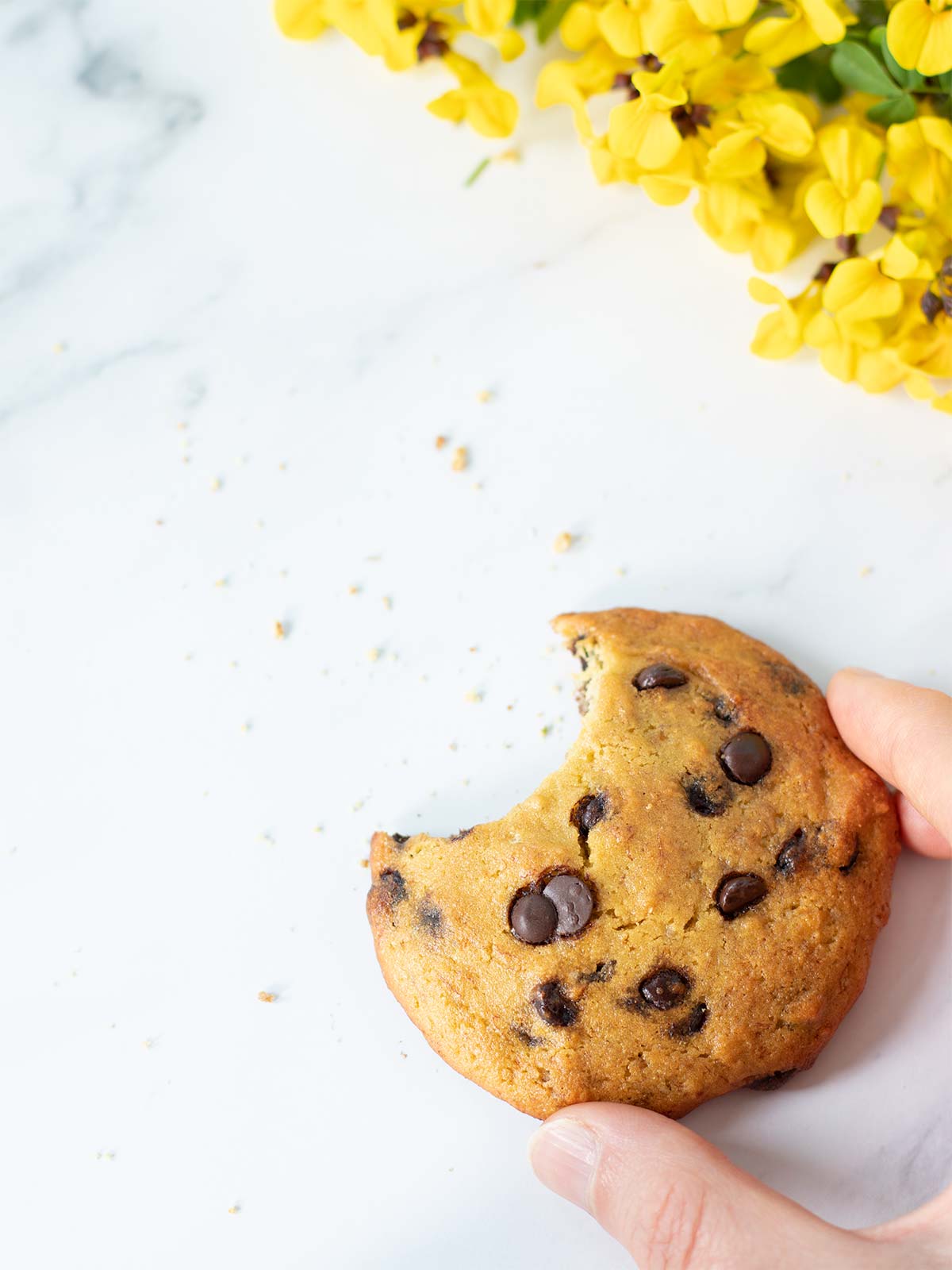 Female hand is holding a chickpea flour chocolate chip cookie on white table with crumbs and bright yellow flowers