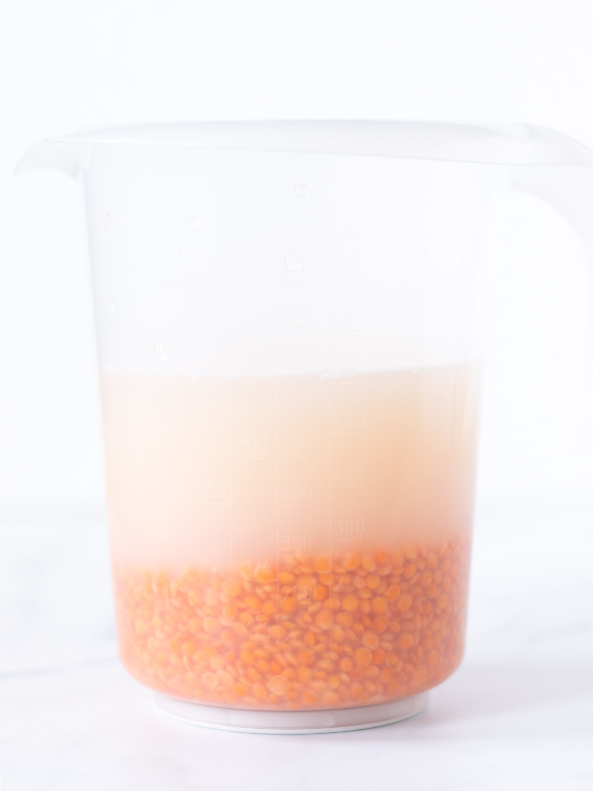 Soaked red lentils in water for homemade flourless lentil tortillas.