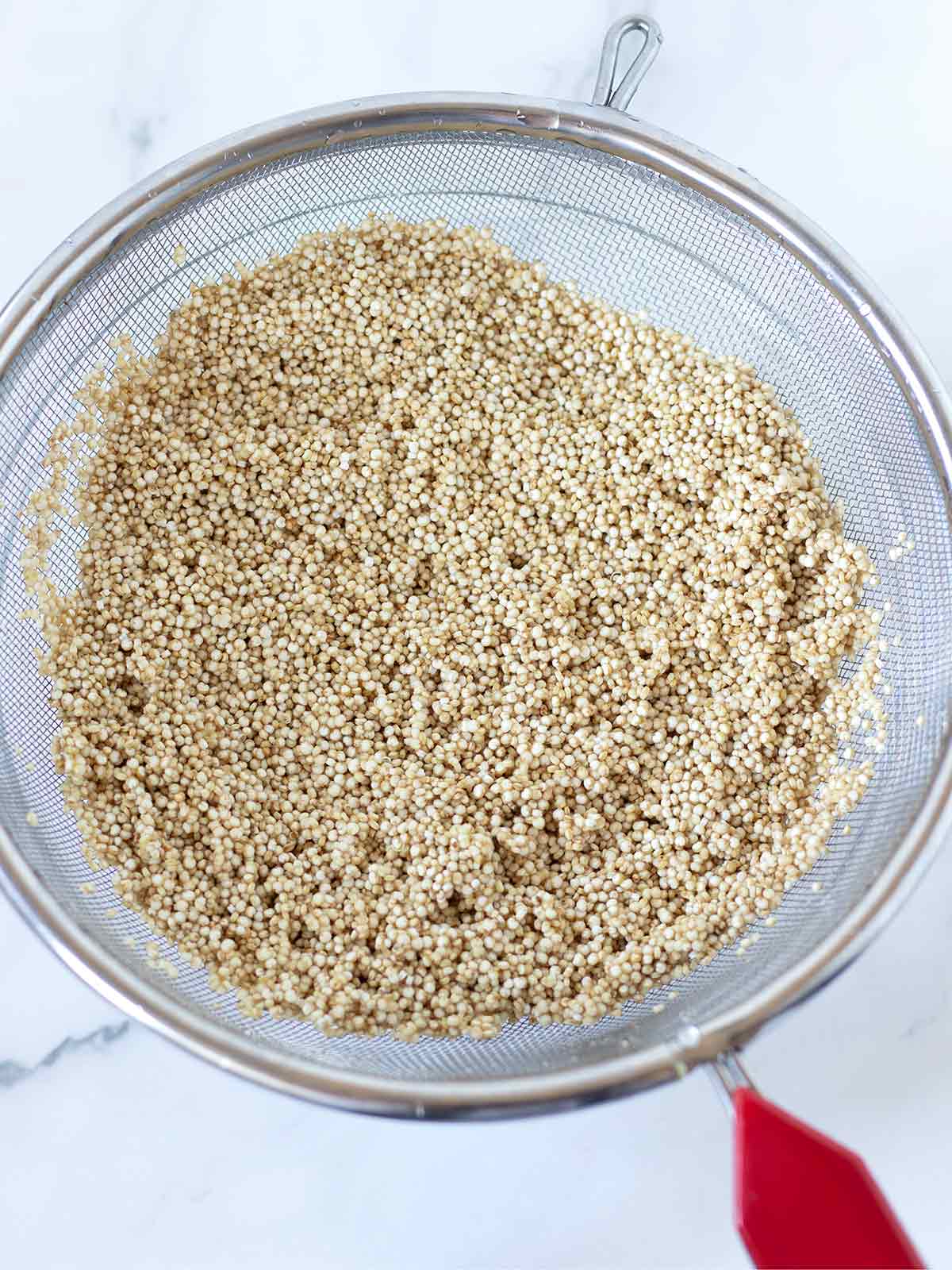 Rinsed quinoa in fine mesh strainer.