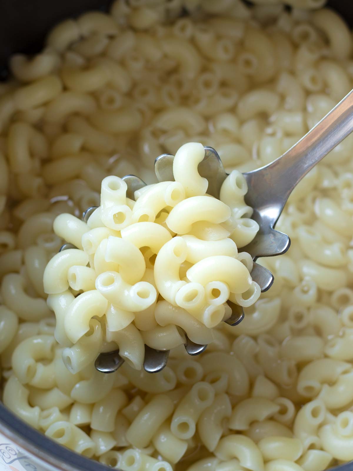 Cooked elbow pasta for non-dairy mac and cheese.