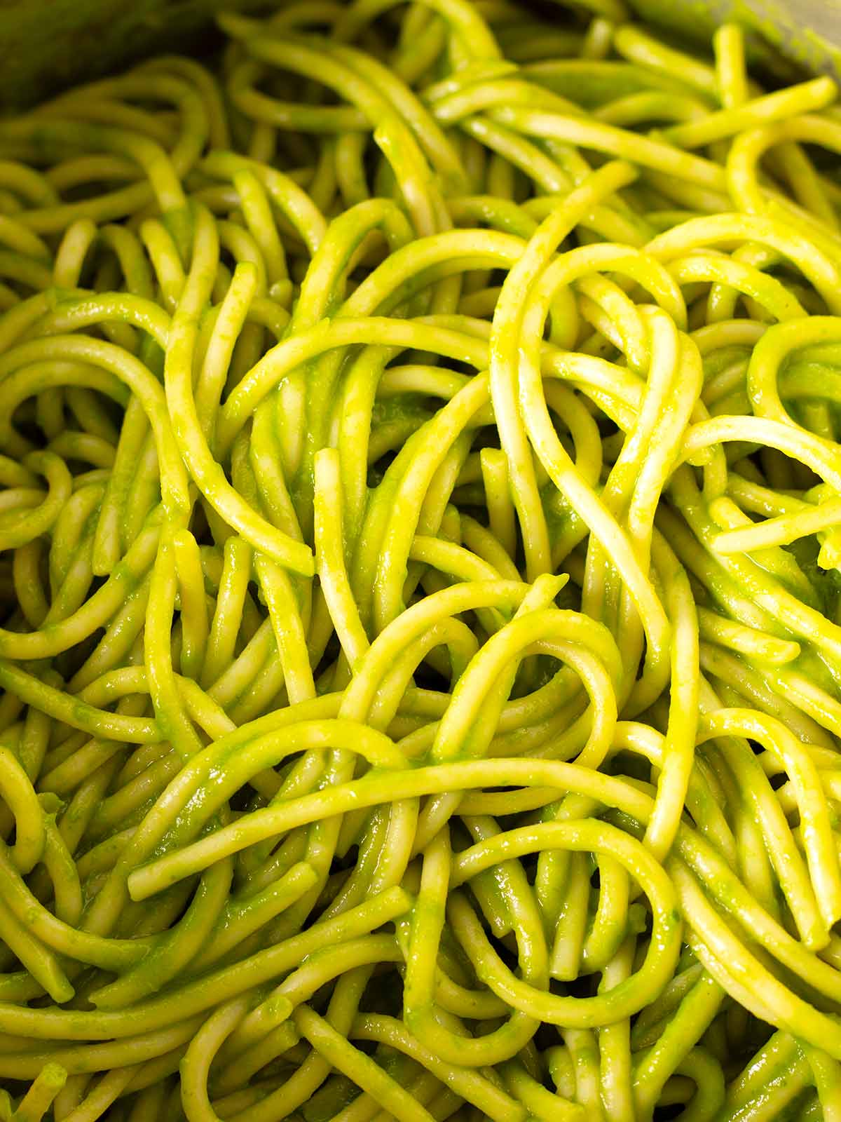 Plant-based vegan spaghetti in green pasta sauce without cream.