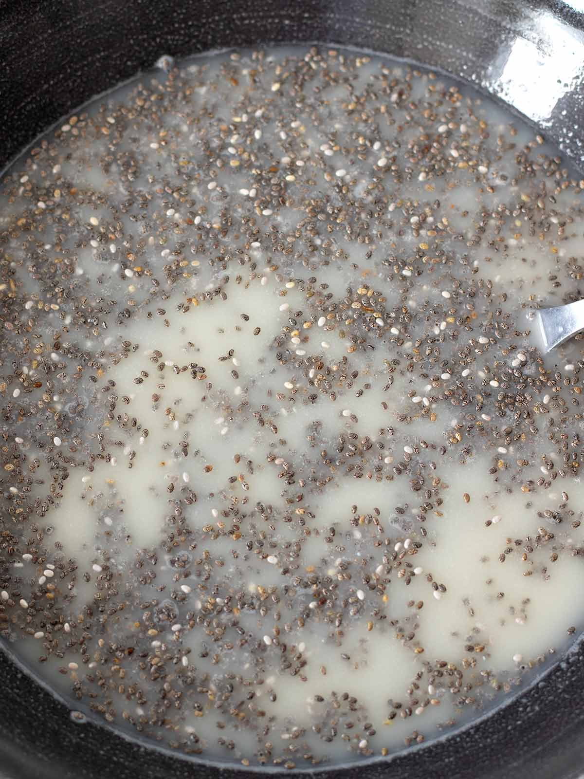 Chia seed mixture for vegan pudding.