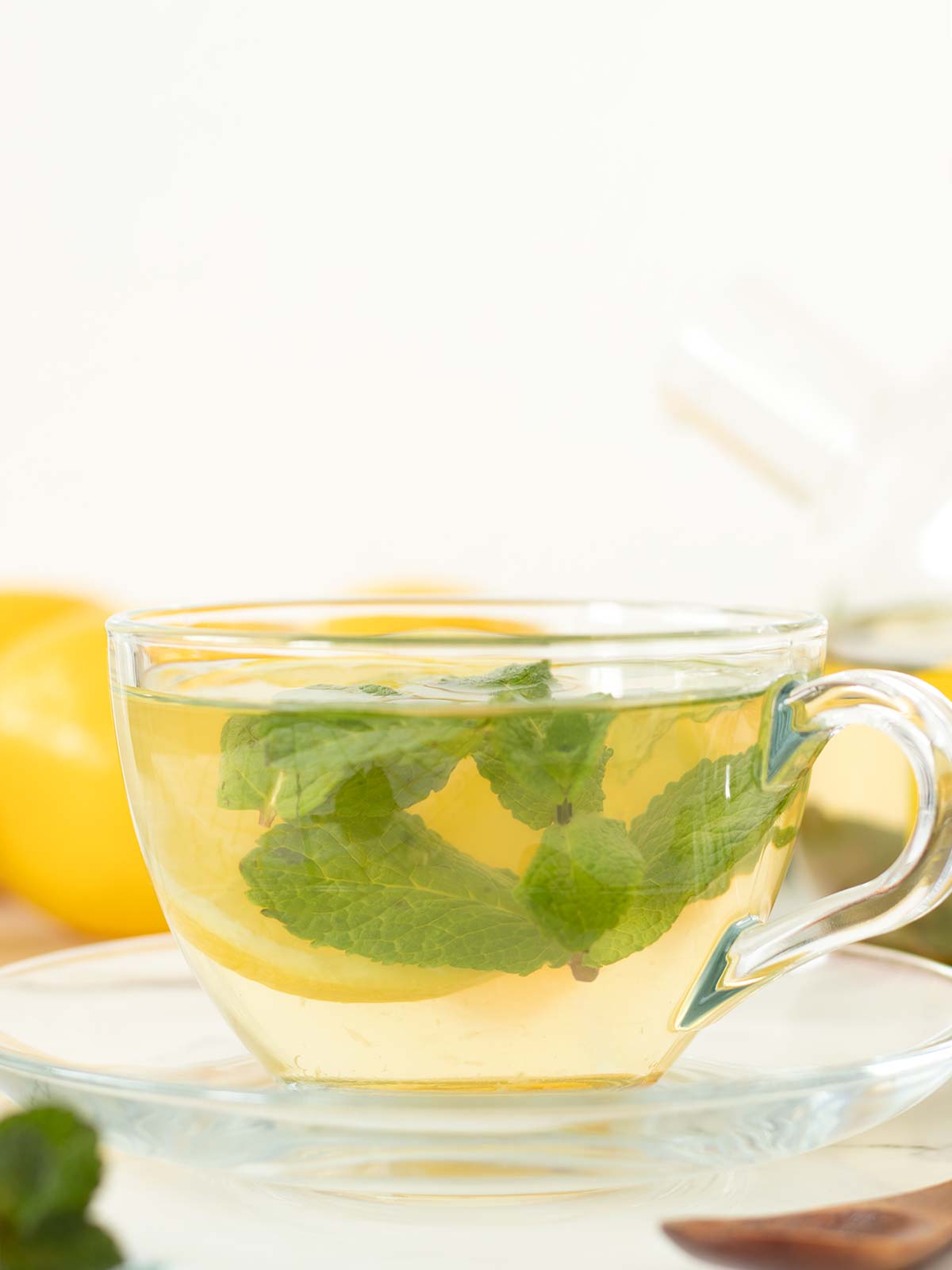 Homemade lemon mint tea (nane limon drink).