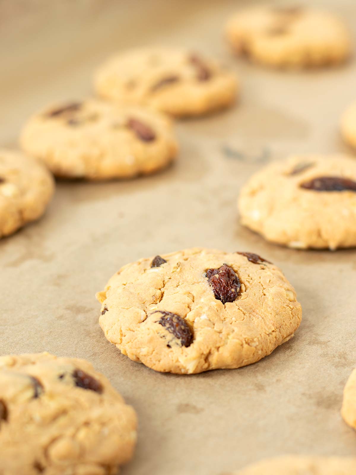 Vegan high-protein oatmeal raisin cookies without baking soda or flour.
