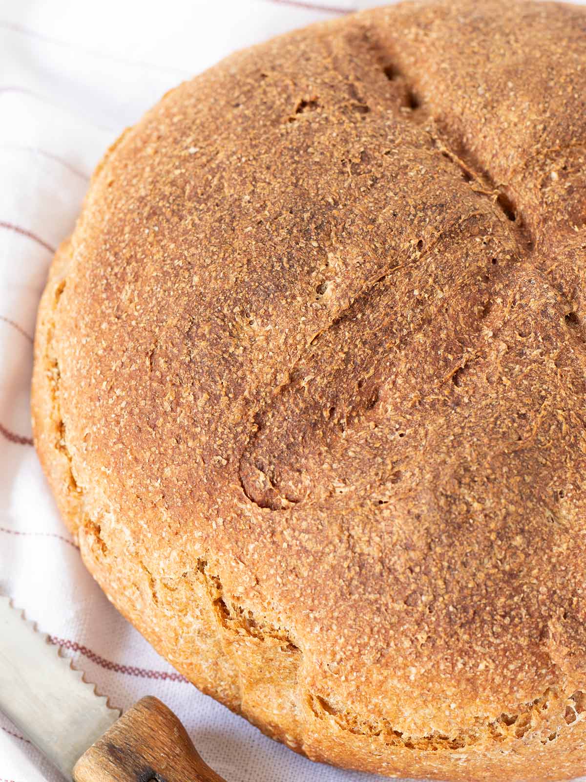 Freshly baked round whole wheat bread.