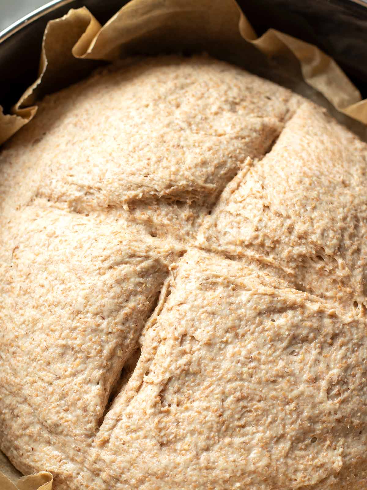 Round whole wheat bread prepared for baking.