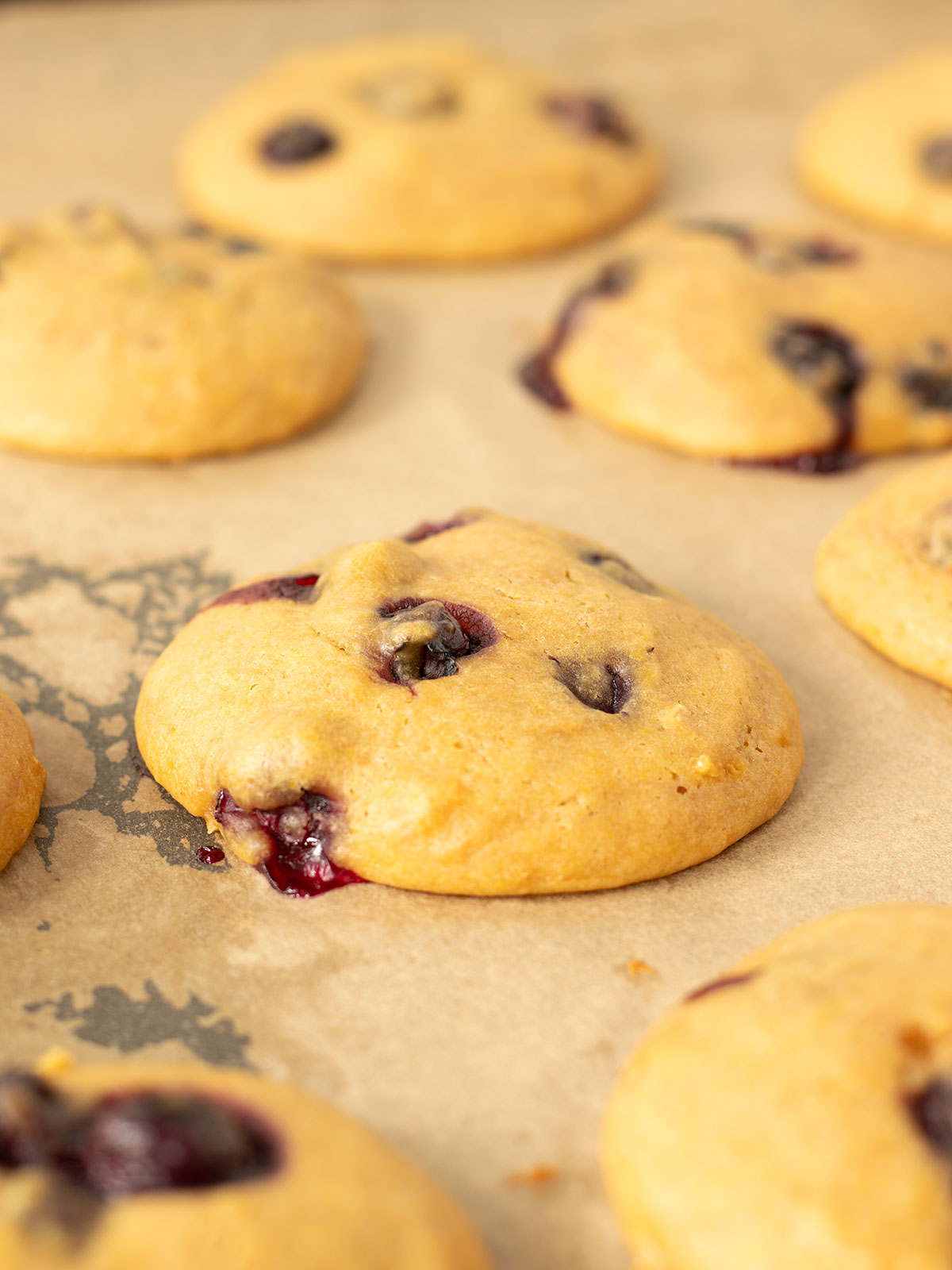 Freshly baked vegan lemon blueberry cookies.