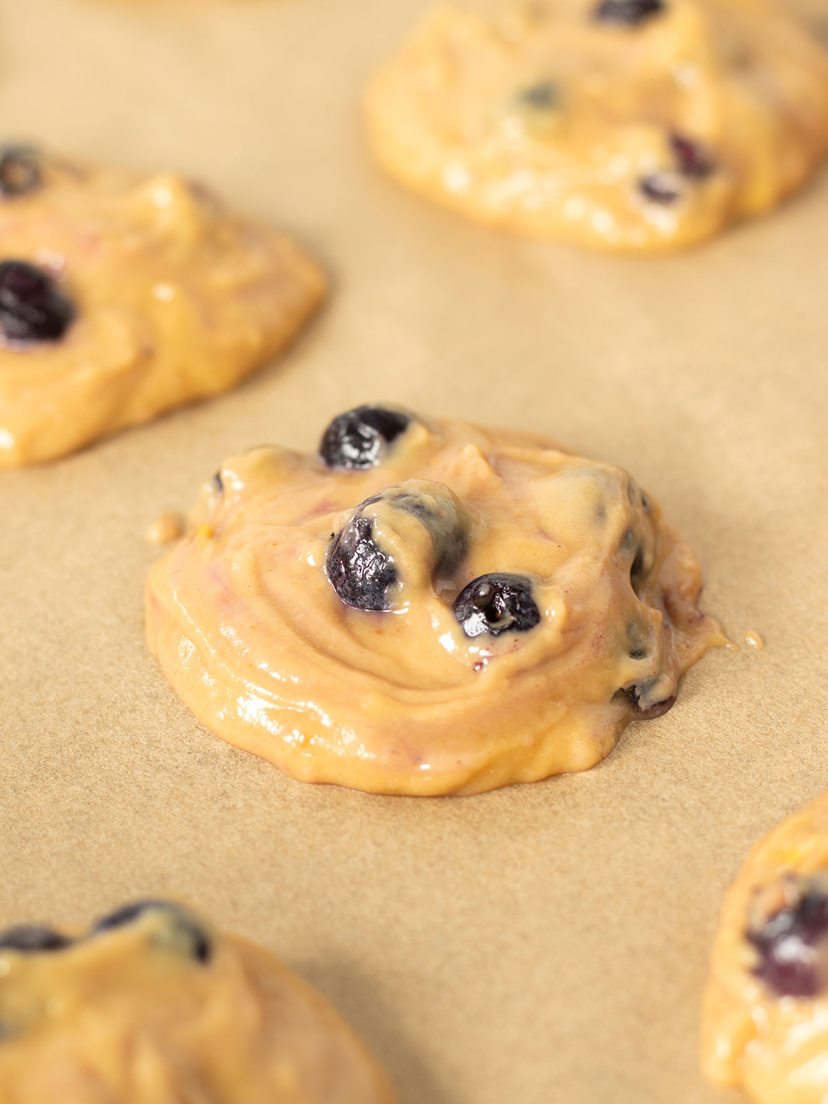 Lemon blueberry cookies prepared for baking.
