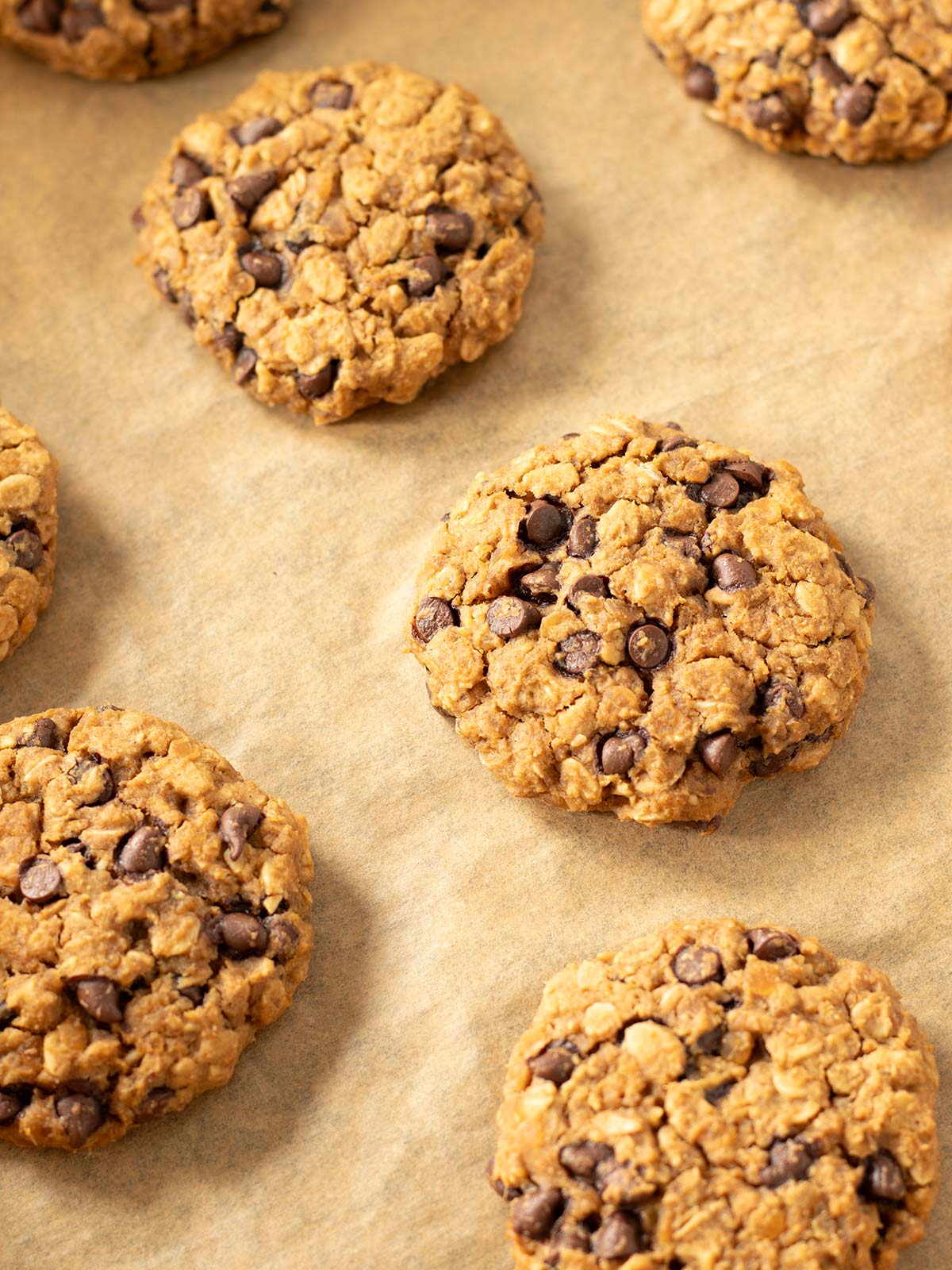 Freshly baked peanut butter red lentil cookies.