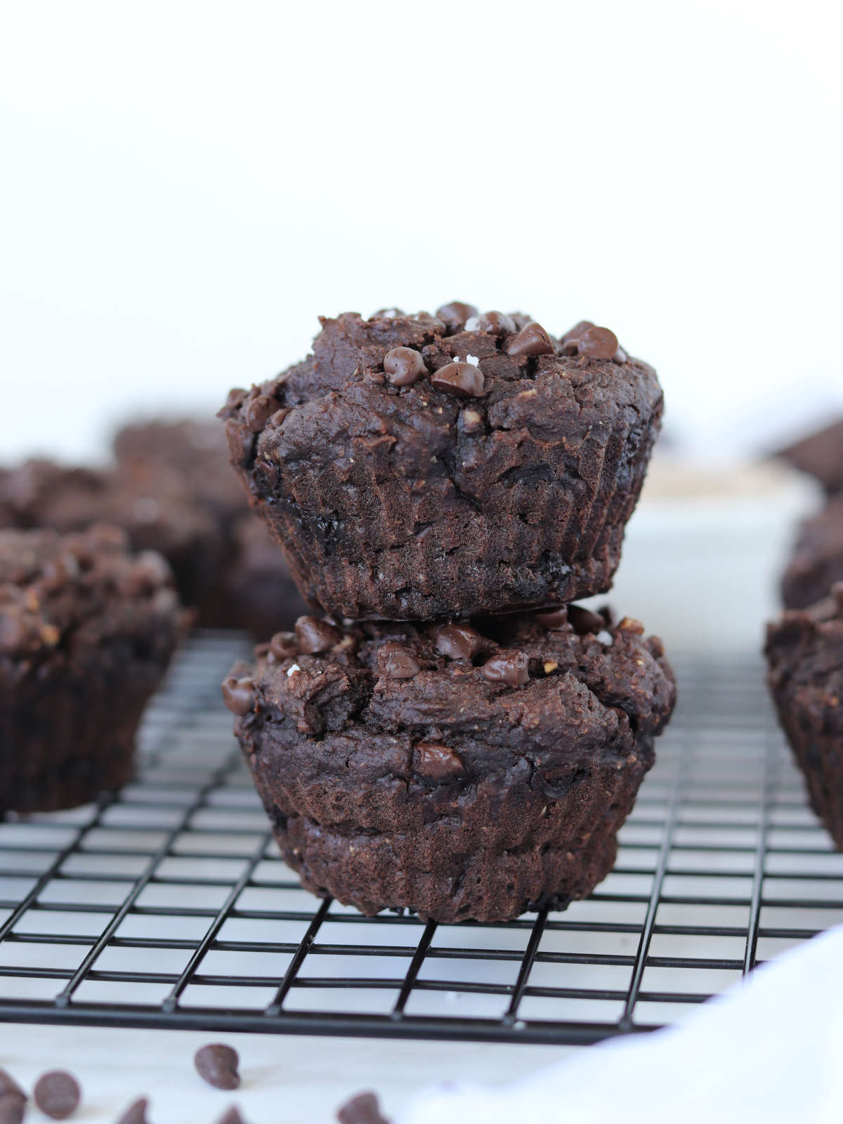 Protein chocolate chip muffins (vegan recipe).