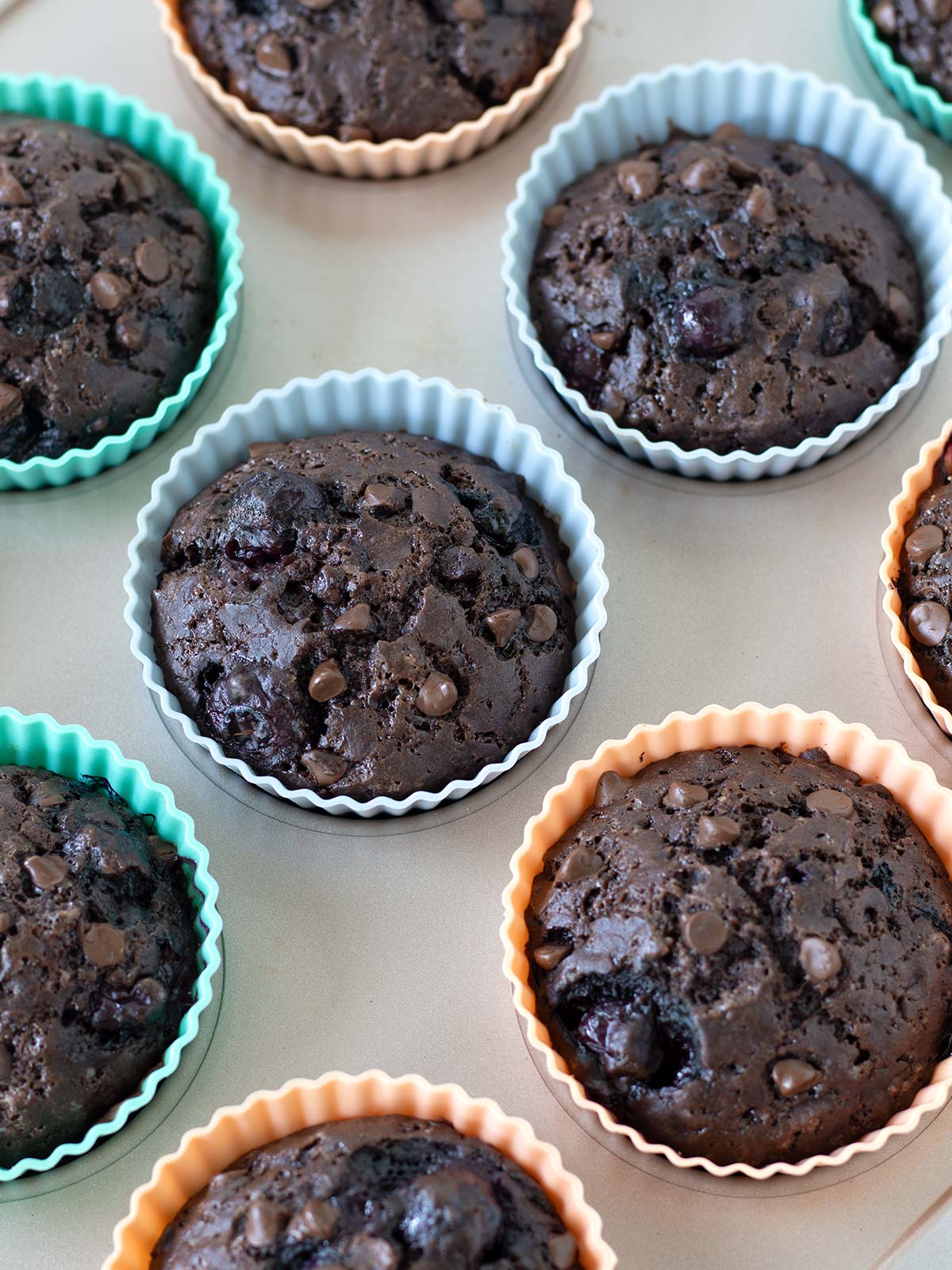 Freshly baked blueberry chocolate muffins with cocoa powder.