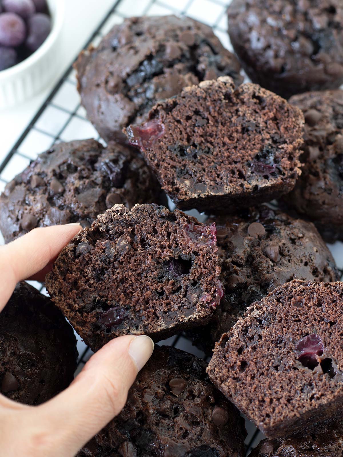 Moist blueberry chocolate muffins.