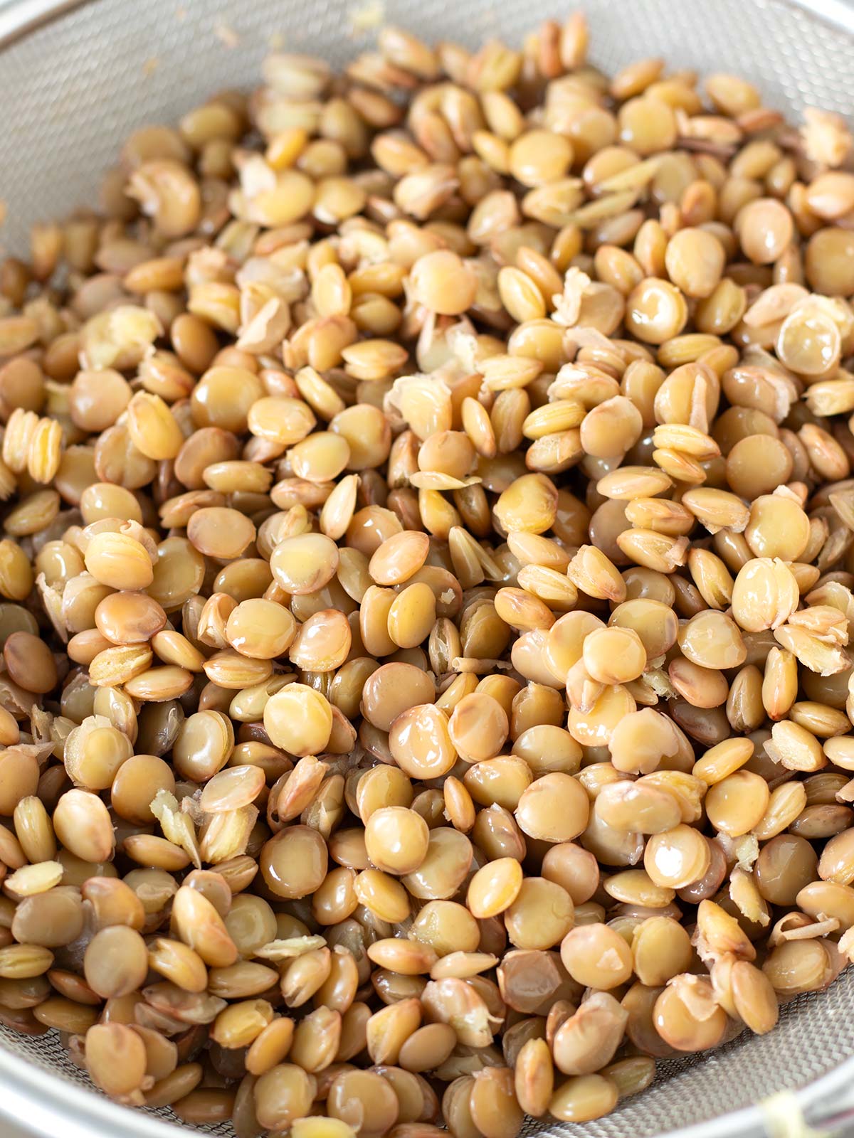 Cooked green lentils.